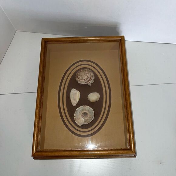 Vintage Sea Shell Framed in Oak Shadow Box Matted Glass Front Nautical Beach - Picture 2 of 8